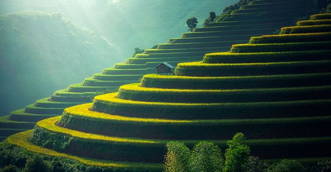 Animacions web - Parallax natura