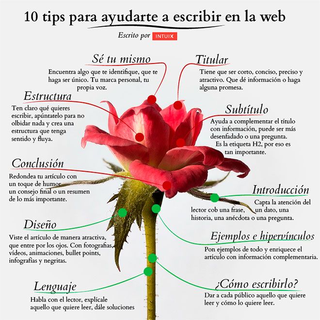 Animacions web - hover CSS