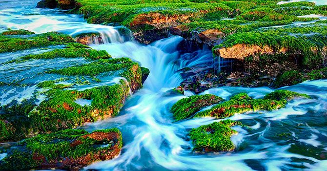 Animacions web - Parallax natura