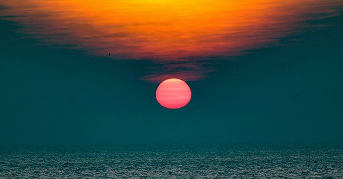 Animacions web - Parallax natura