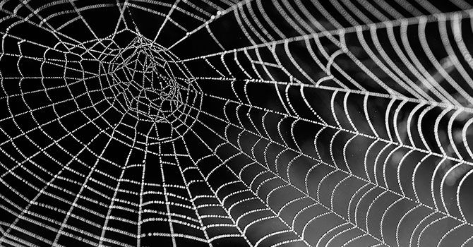 Animacions web - Parallax natura