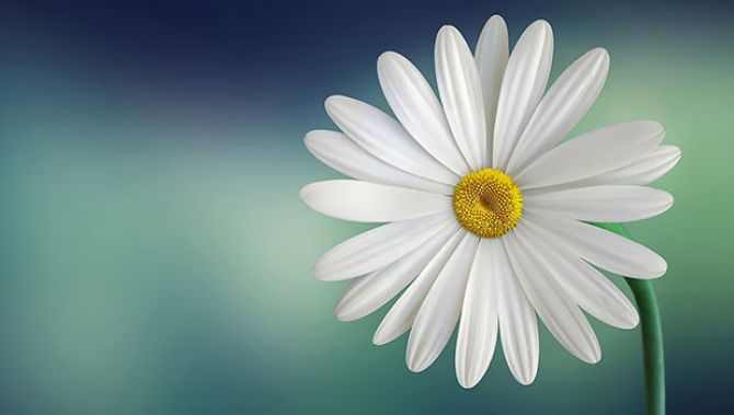 Mapas de calor (heatmap) - Call to action